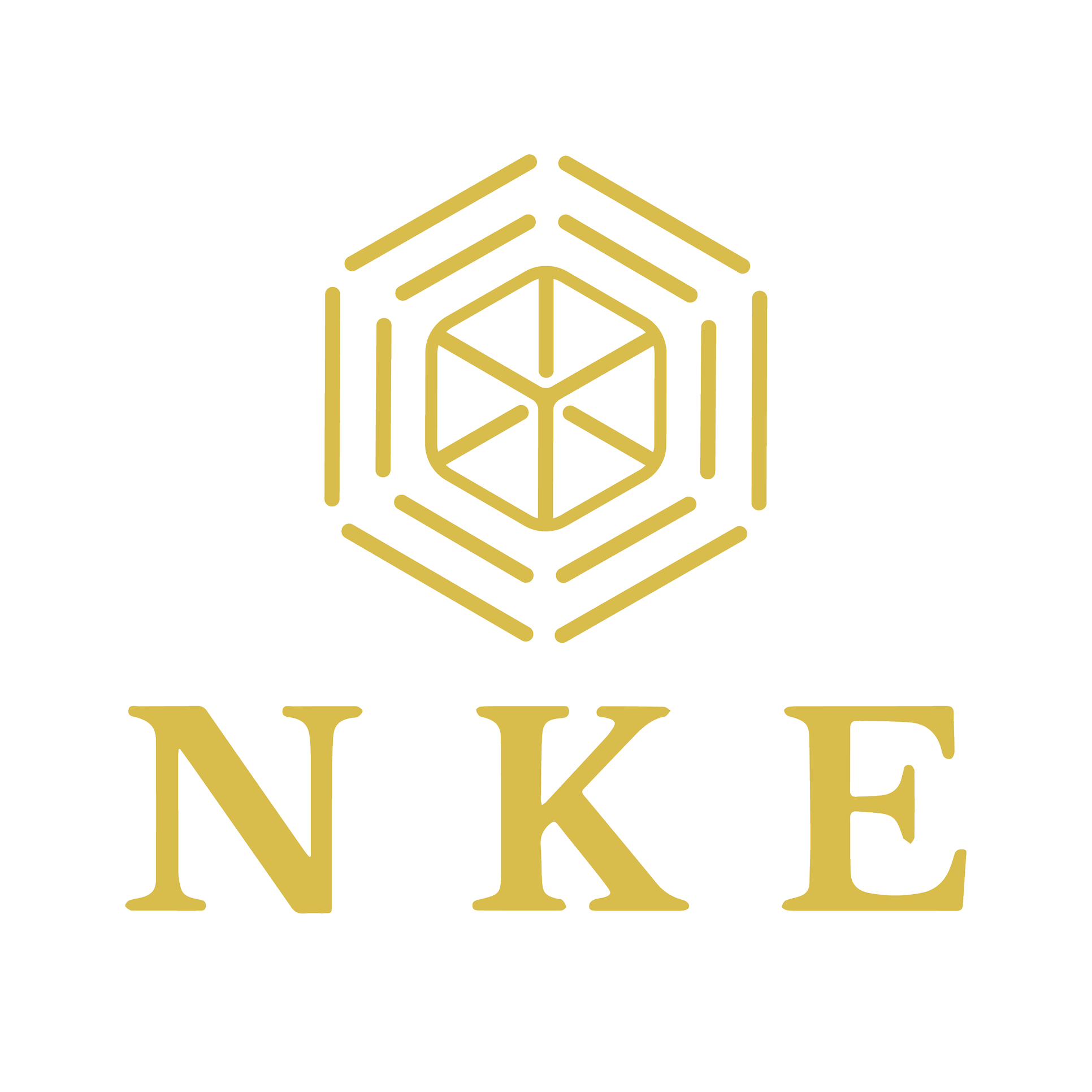 NKE Logo